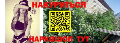 гашик Лесосибирск