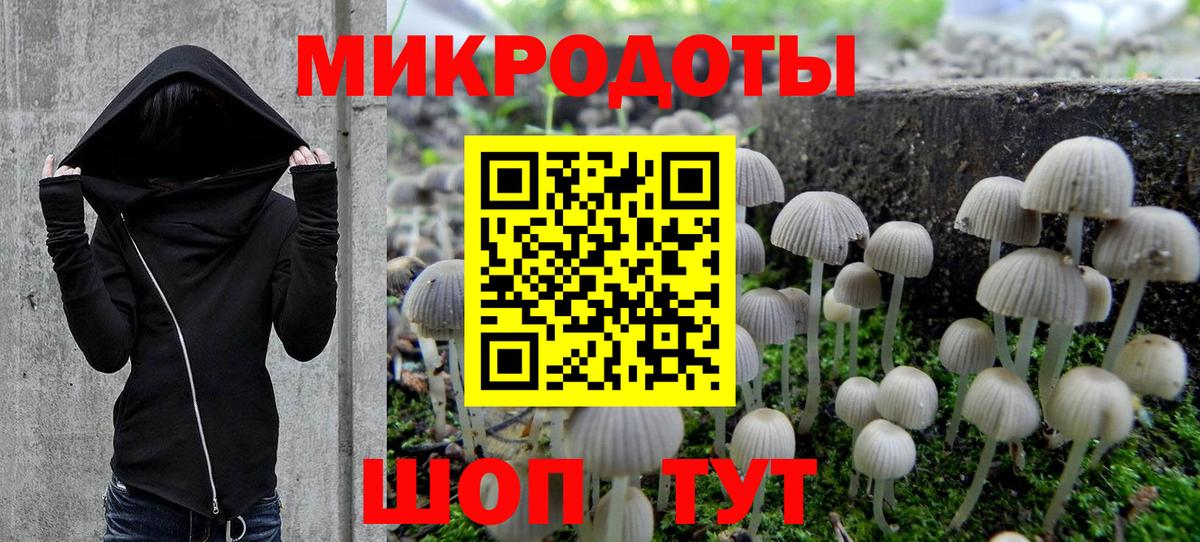 Шарыпово  Псилоцибиновые грибы Psilocybe  Вход с VPN 